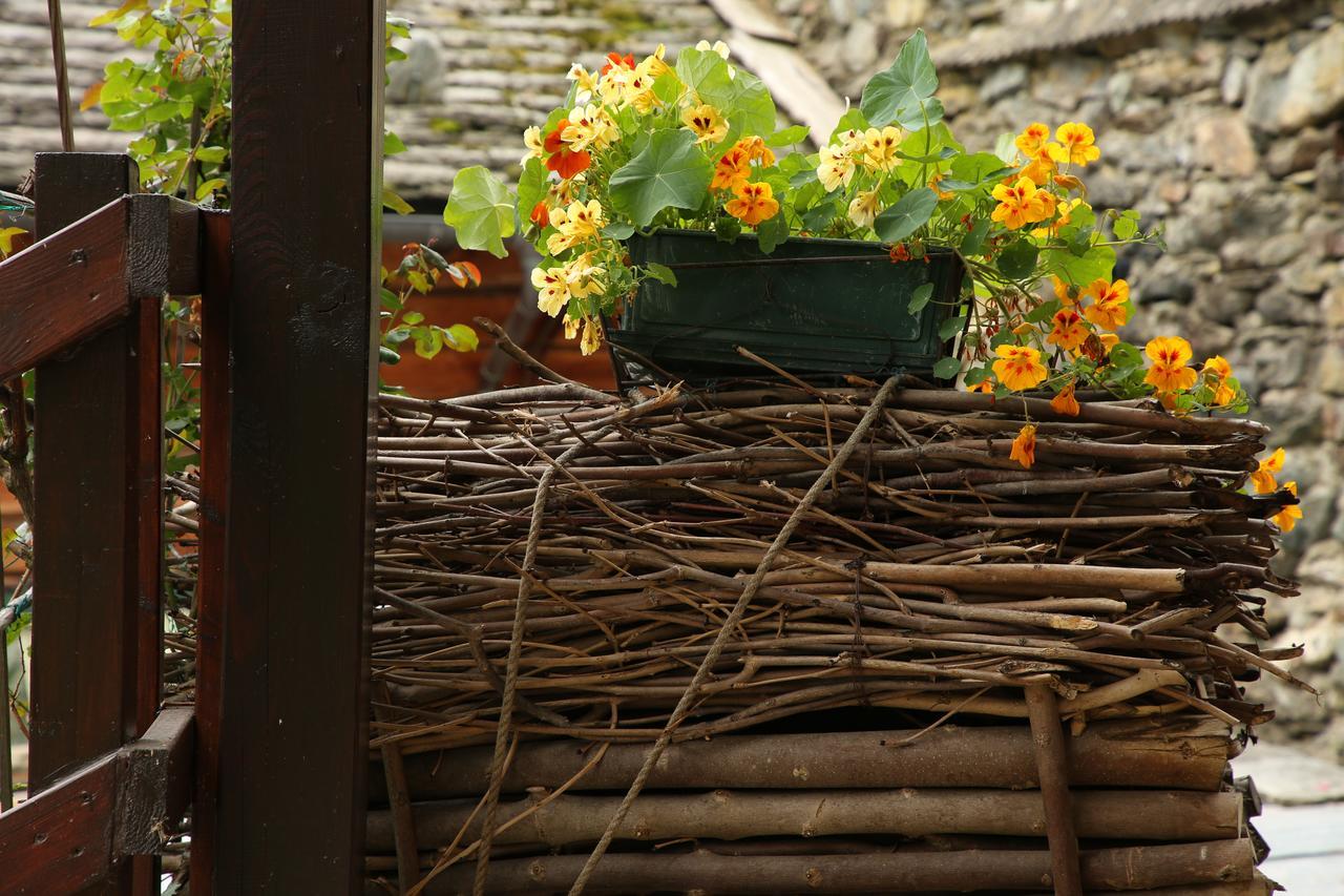 Residence Casa Dei Fiori Alagna Valsesia Eksteriør billede